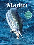 Marlin Current Issue