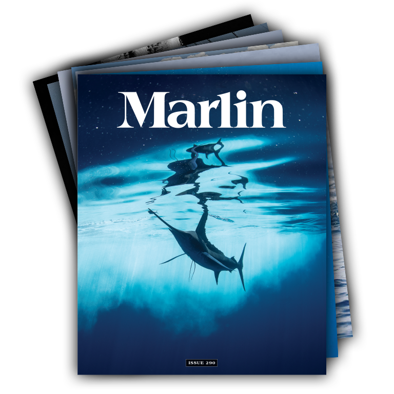 Marlin Cover