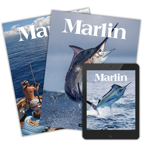 Marlin Cover